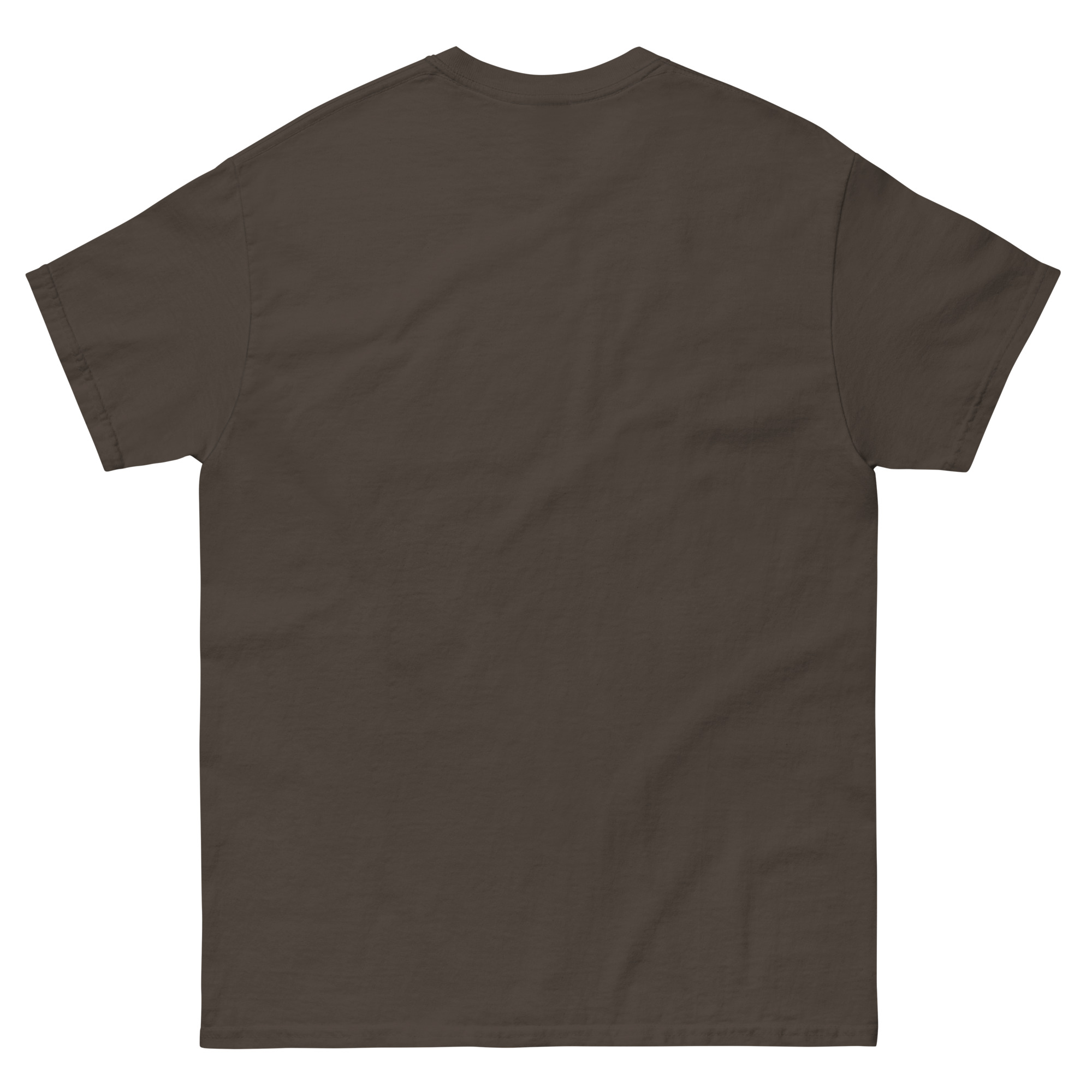unisex-classic-tee-dark-chocolate-back-677d5e9bcadce.jpg