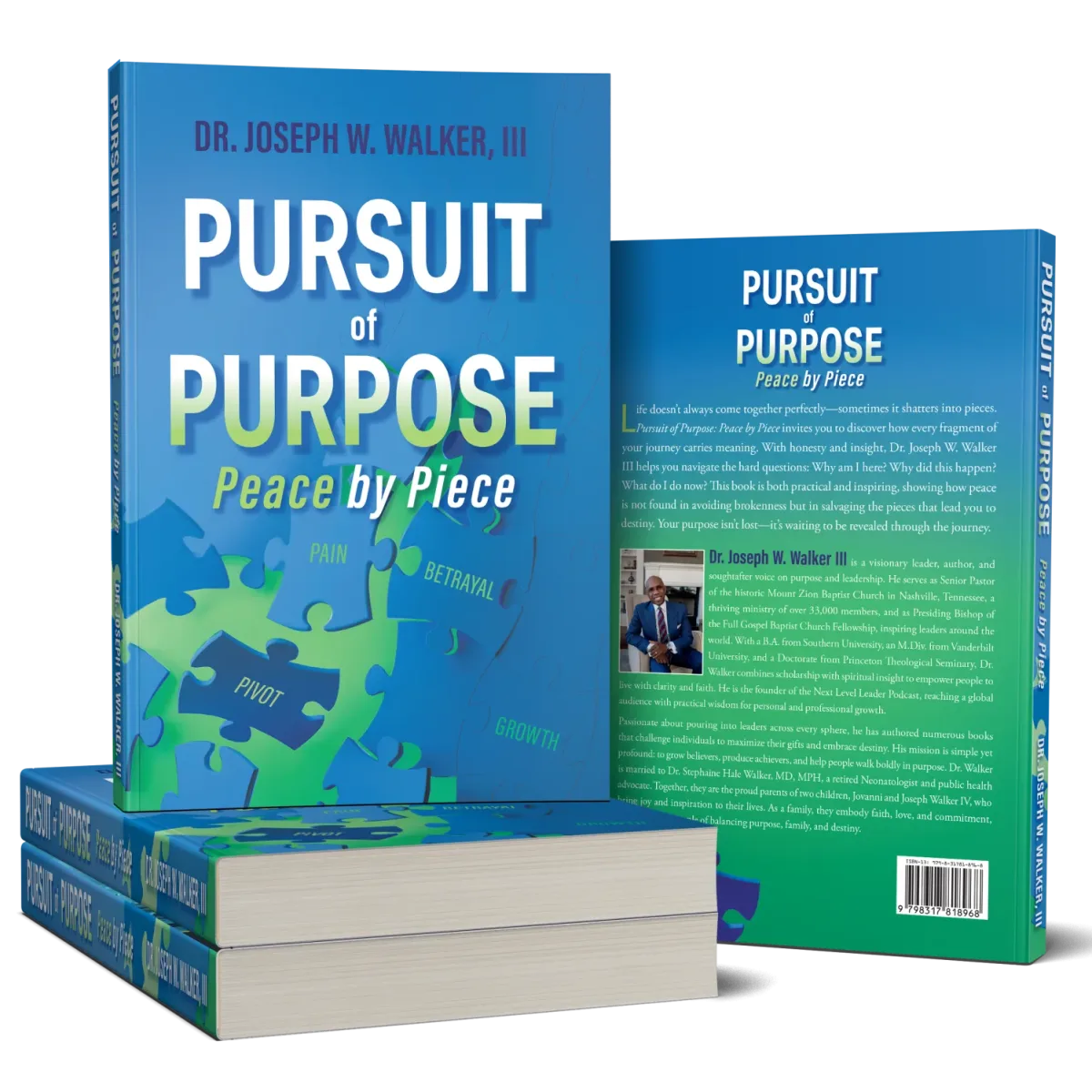 Pursuit Of Purpose - Peace by Piece