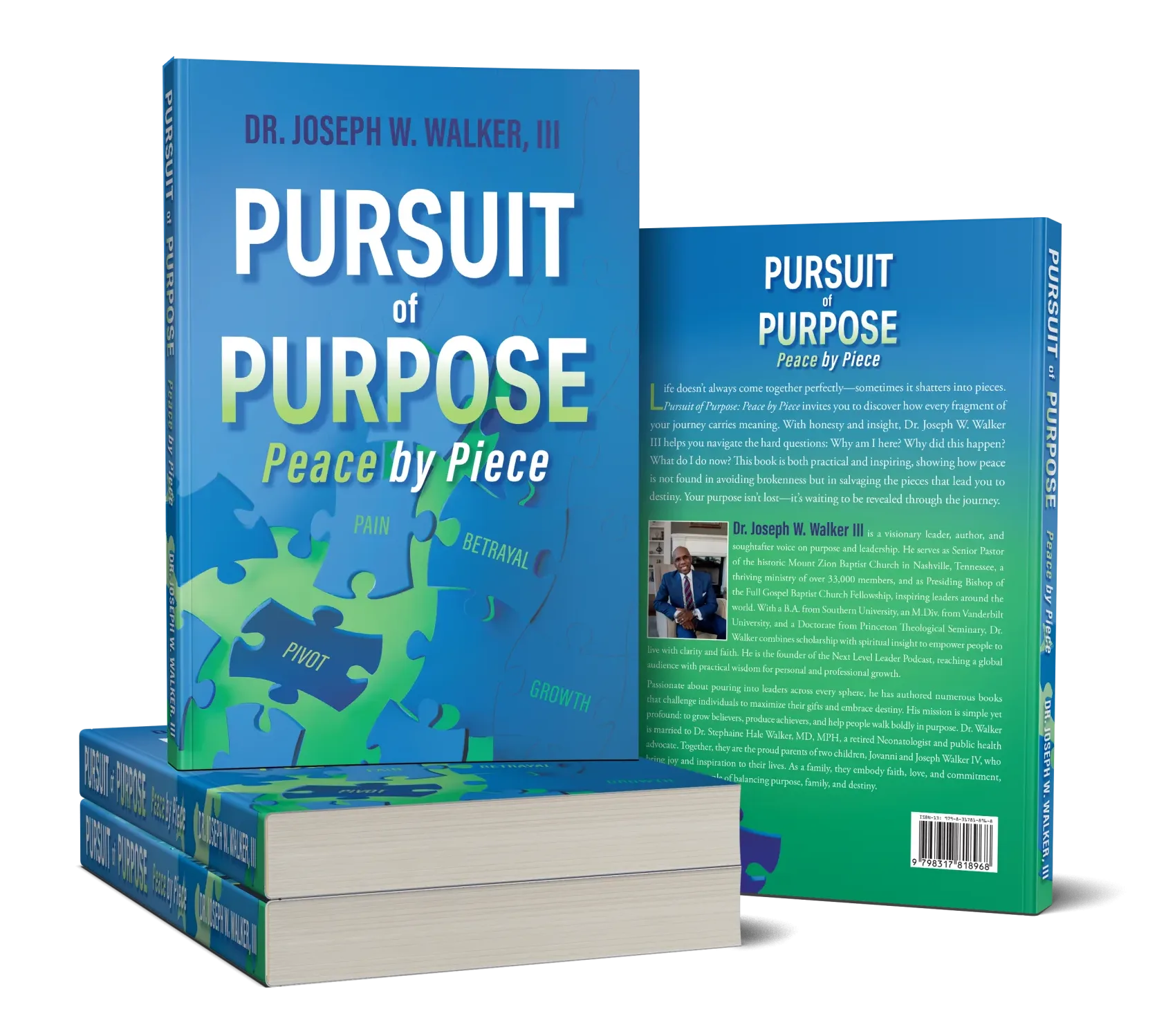 Pursuit Of Purpose - Peace by Piece